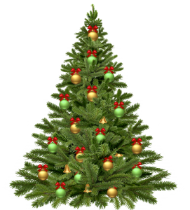 christmas-tree-ge65f25ede_1920
